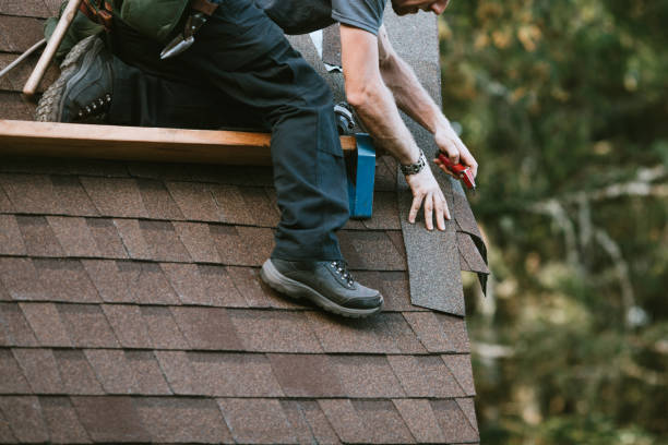 Best Roof Leak Repair  in Bass Lake, IN